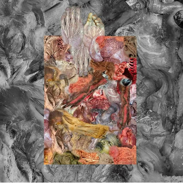 GOLEM OF GORE / LIPOMA - SPLIT CD