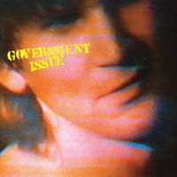 GOVERNMENT ISSUE - "THE FUN JUST NEVER ENDS" LP