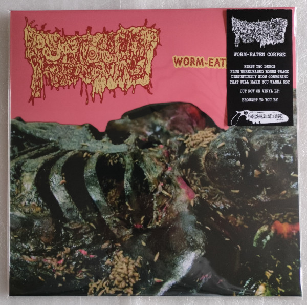 PURULENT REMAINS - "WORM EATEN CORPSE" - Click Image to Close