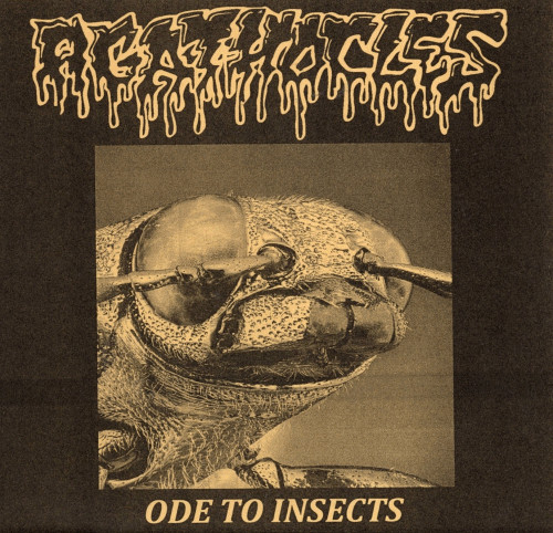AGATHOCLES - "ODE TO INSECTS" 7" (BROWN COVER) AGATHOCLES - "ODE TO INSECTS" 7" (BROWN COVER)