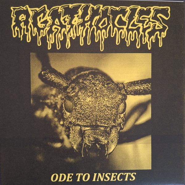AGATHOCLES - "ODE TO INSECTS" 7" (YELLOW COVER) AGATHOCLES - "ODE TO INSECTS" 7" (YELLOW COVER)