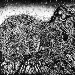 PUTREFACTION SETS IN / FESTER DECAY - SPLIT LP