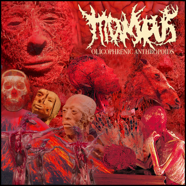 MOISCUS - "OLIGOPHRENIC ANTHROPOIDS / IDIOMORPHIC PRACTICES" LP MOISCUS - "OLIGOPHRENIC ANTHROPOIDS / IDIOMORPHIC PRACTICES" LP