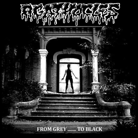 AGATHOCLES – “FROM GREY TO BLACK” LP - Click Image to Close