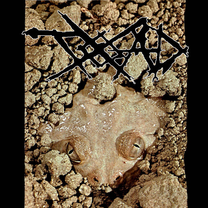 T.O.A.D (TRUTH OF ALL DEATH) - S/T 7"