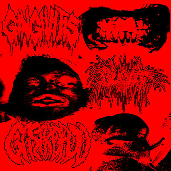GINGIVITUS / BLOATED / GASTROPOD - 3 WAY SPLIT CD GINGIVITUS / BLOATED / GASTROPOD - 3 WAY SPLIT CD